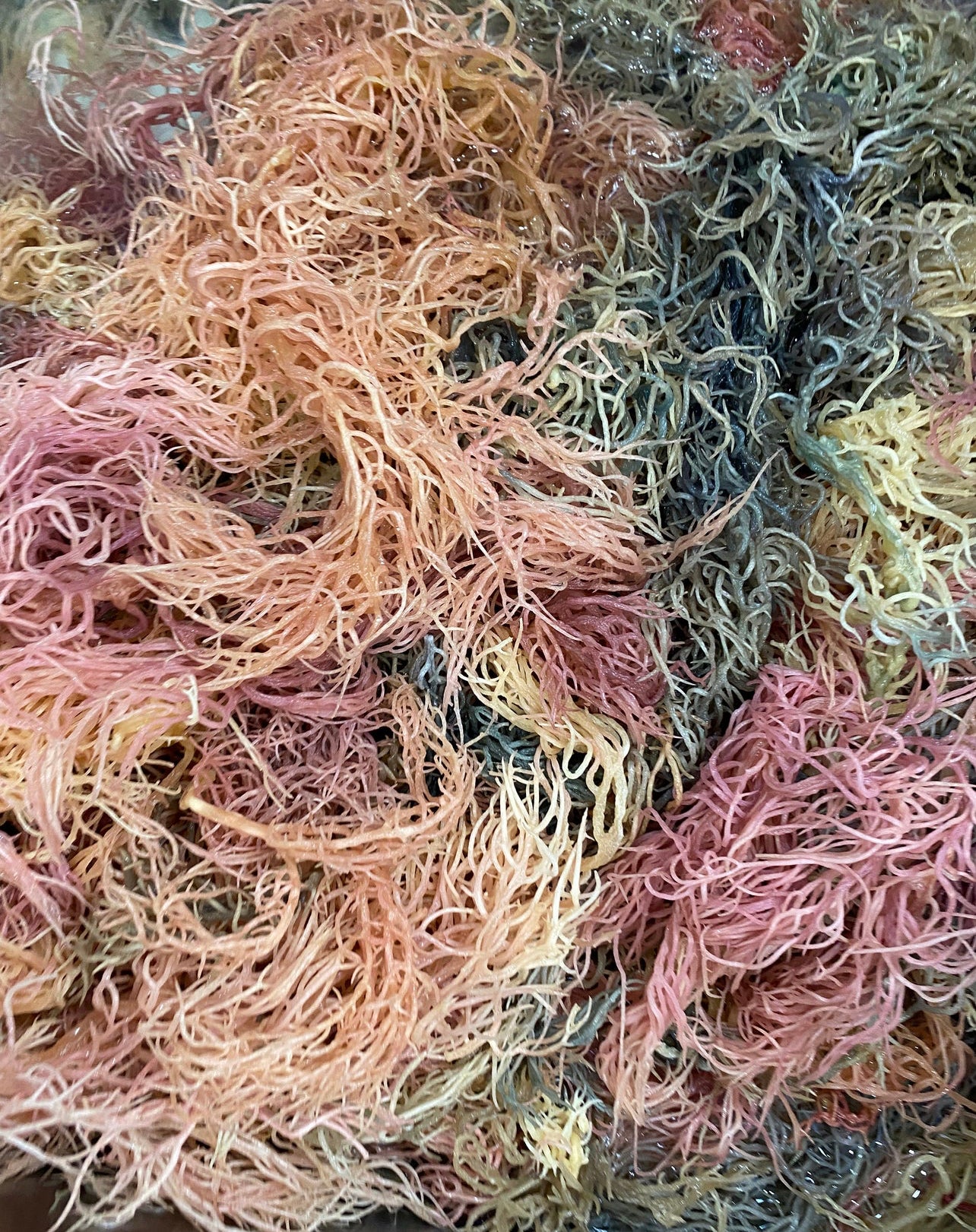 Raw Full Spectrum Sea Moss