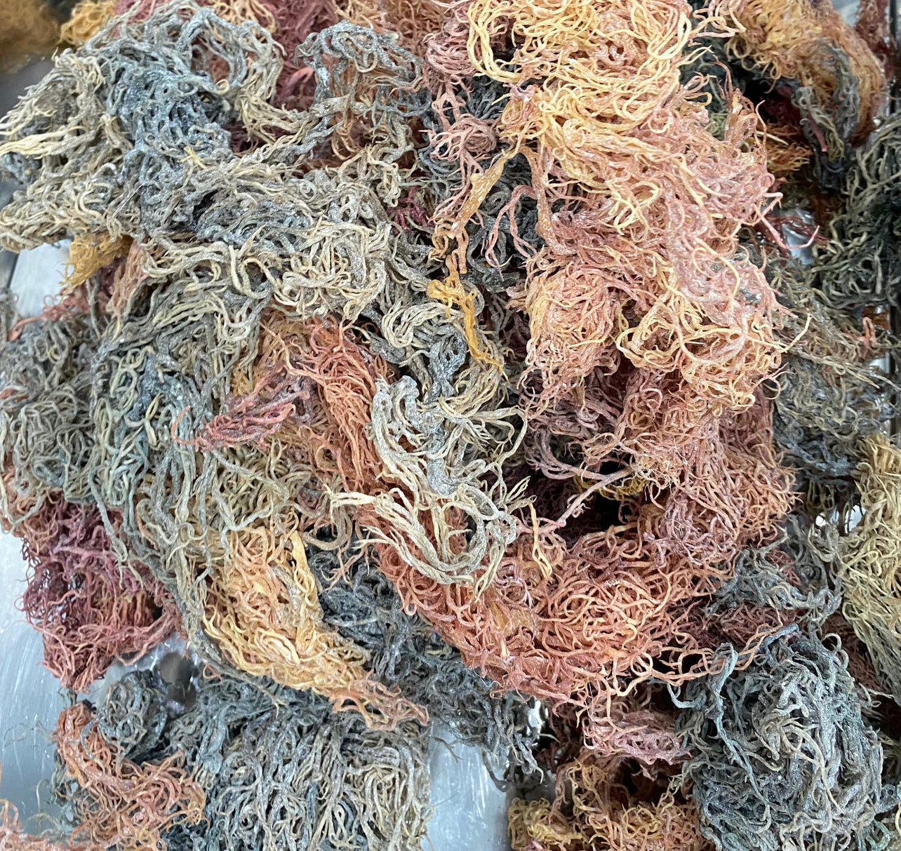 Raw Full Spectrum Sea Moss