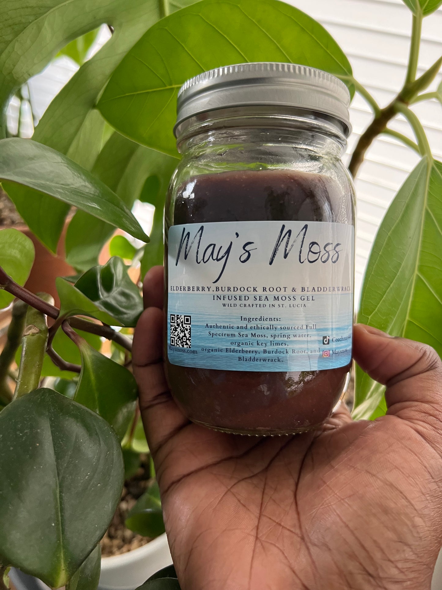 Wholesale Sea Moss Gel